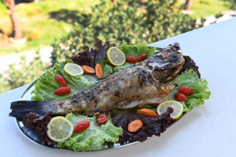 392769891 818529780279357 5531149326801210780 n 768x512