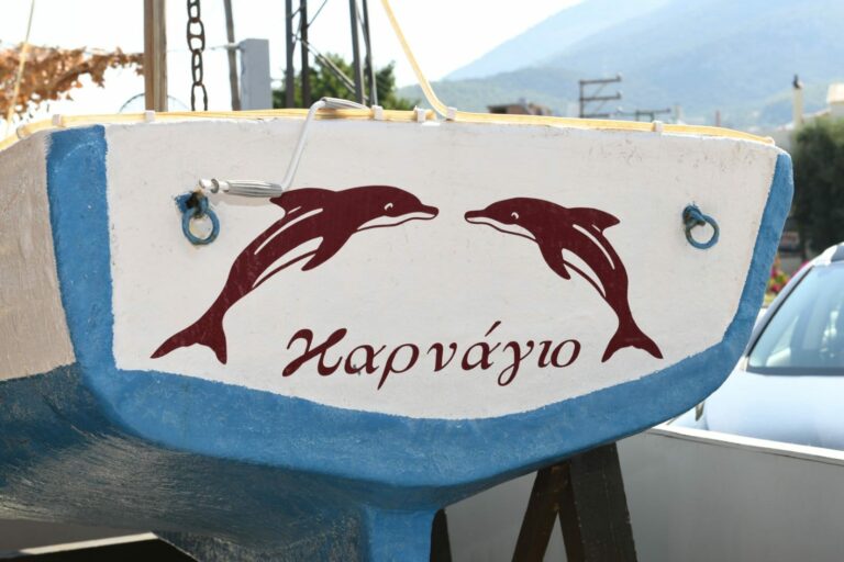 394631440 822747726524229 4022151062758876943 n 768x512