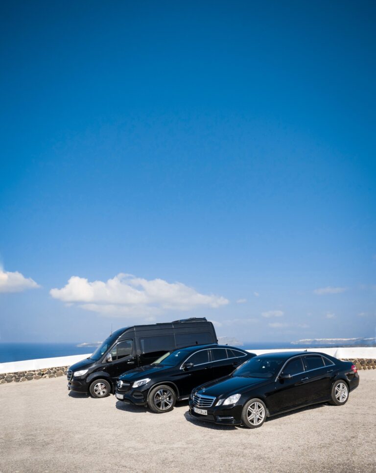 400833084 723972133087770 1384565867747308793 n 768x966