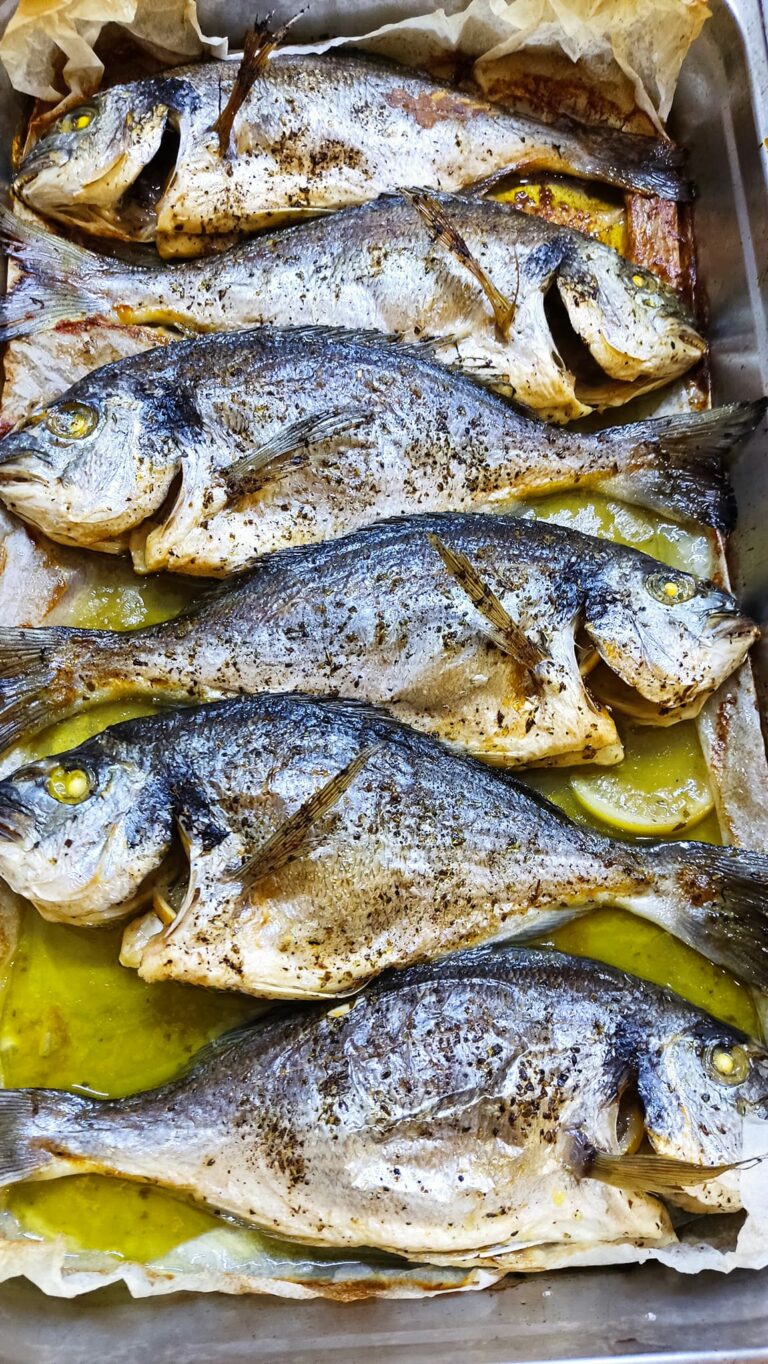 404574477 682887383822708 5176381752062375614 n 768x1364