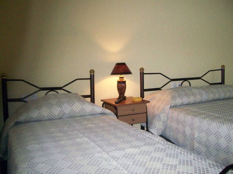 8337468 orig 768x576