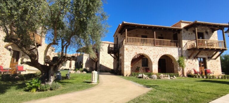 IMG 20211022 113030 scaled 900x405 1 768x346