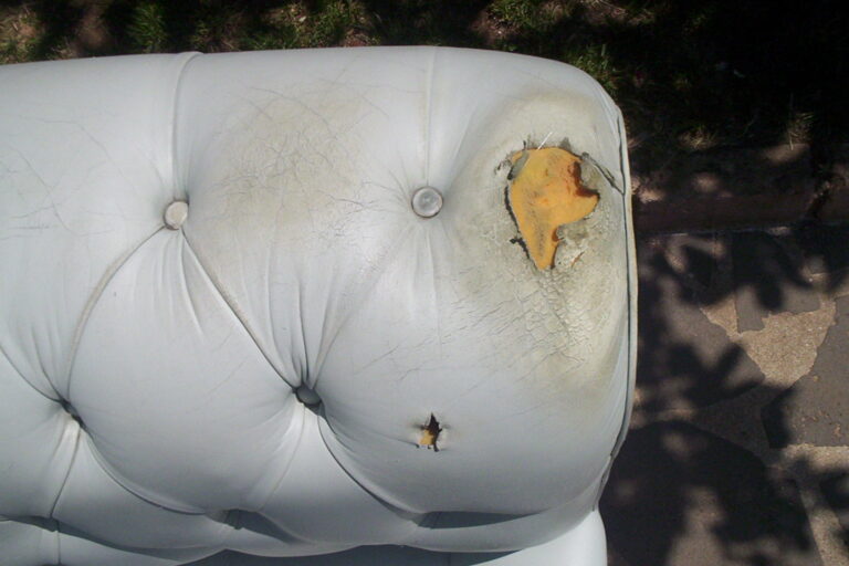 polythrona 1prin 768x512