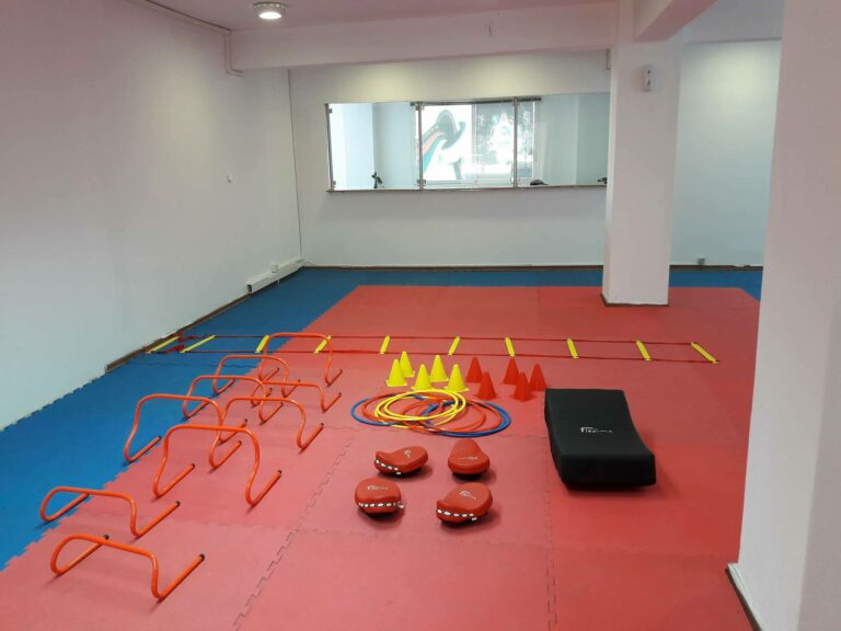 21753097 225910971272544 7189592998875044318 o 768x576