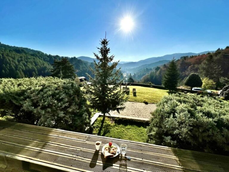 311831727 617992603356870 3408732864158062253 n 768x576