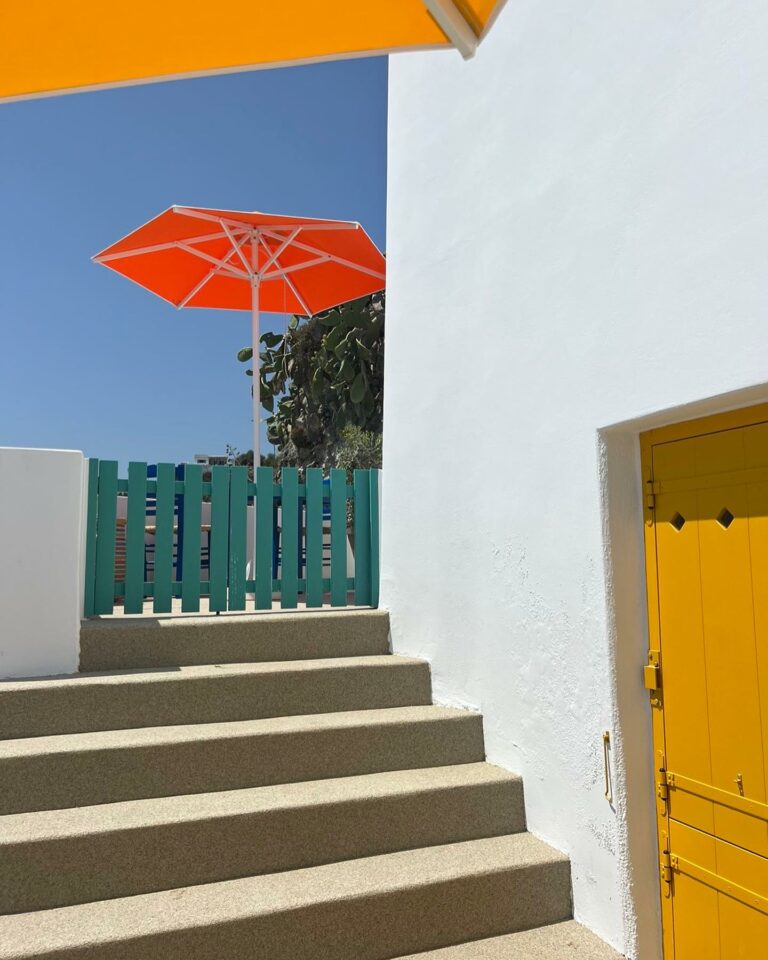 369342884 854343982746516 8250786431191040925 n 768x960