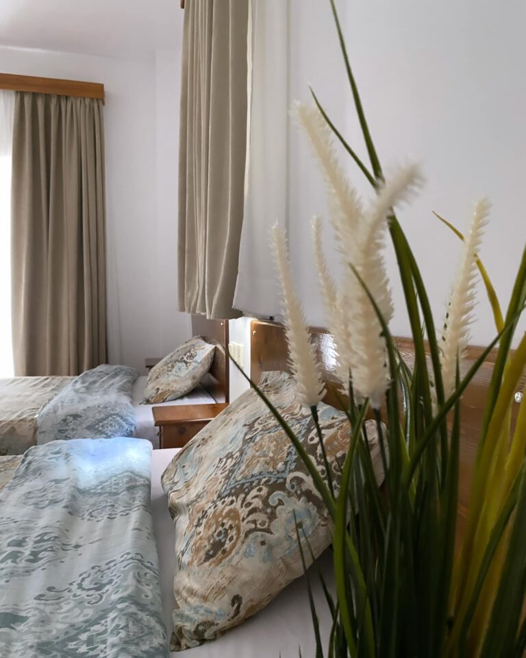 407422487 868784878096079 5745594438210771358 n 768x960