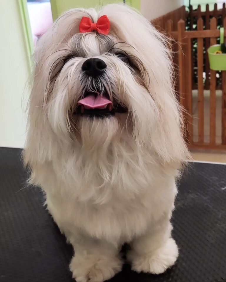 409151241 858332262963504 8571718714952126786 n 768x960