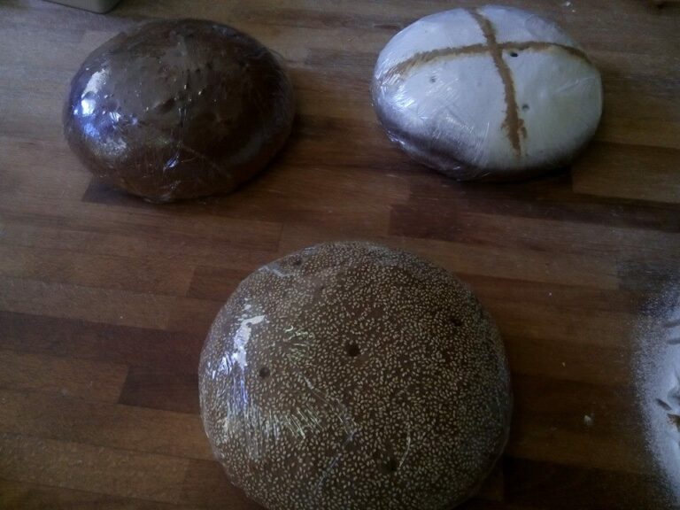 11951237 1626812594225682 4202317049407507708 n 768x576