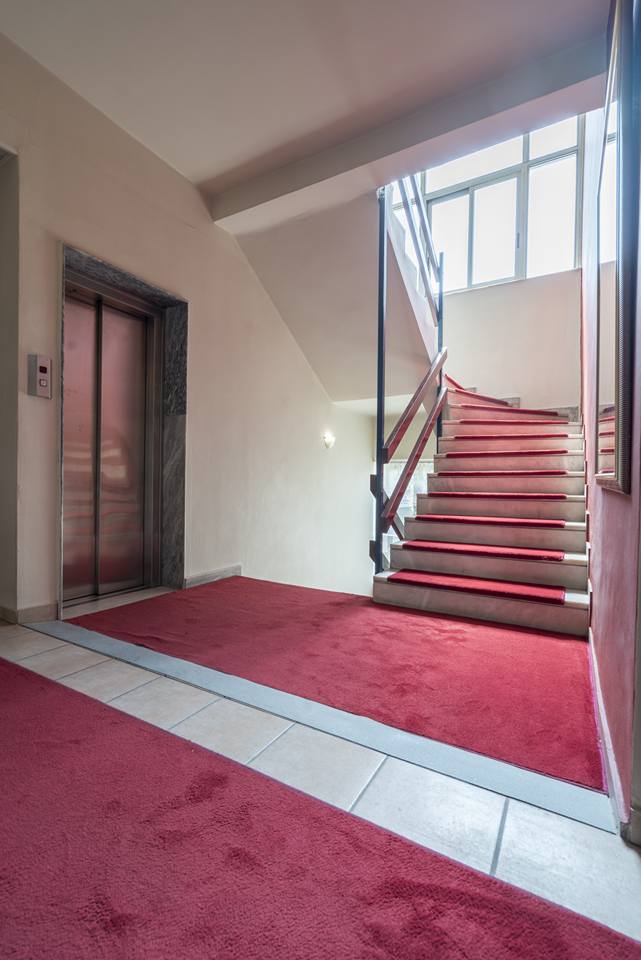 21433107 656976034426811 5338608840498933655 n