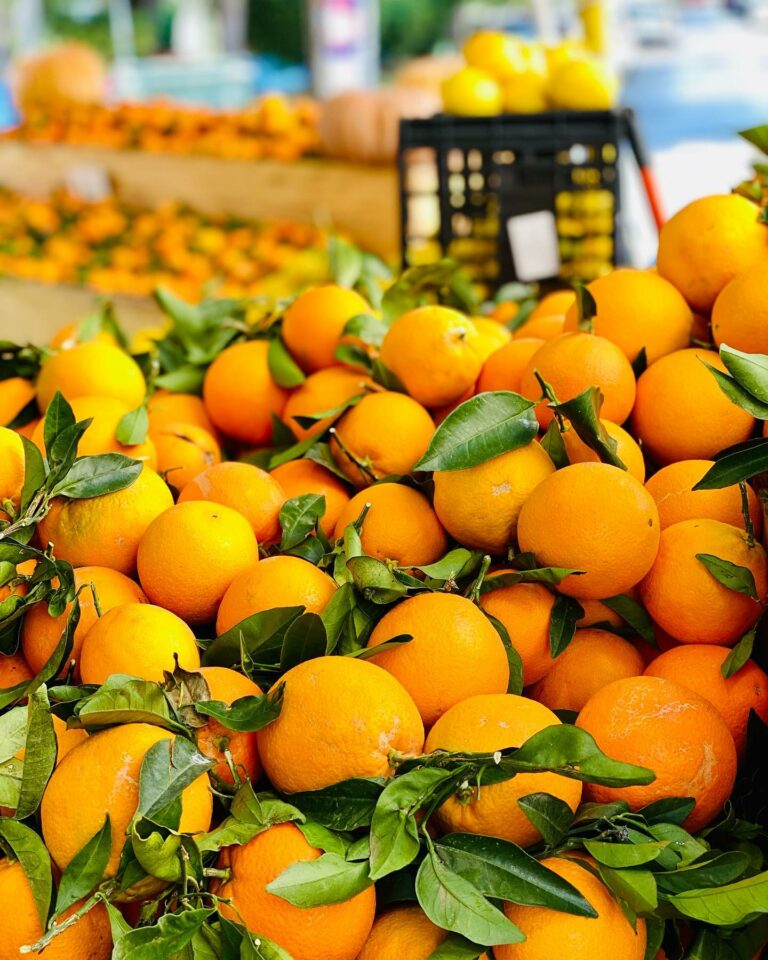 252873294 102189225617215 2217224501618611354 n 768x960