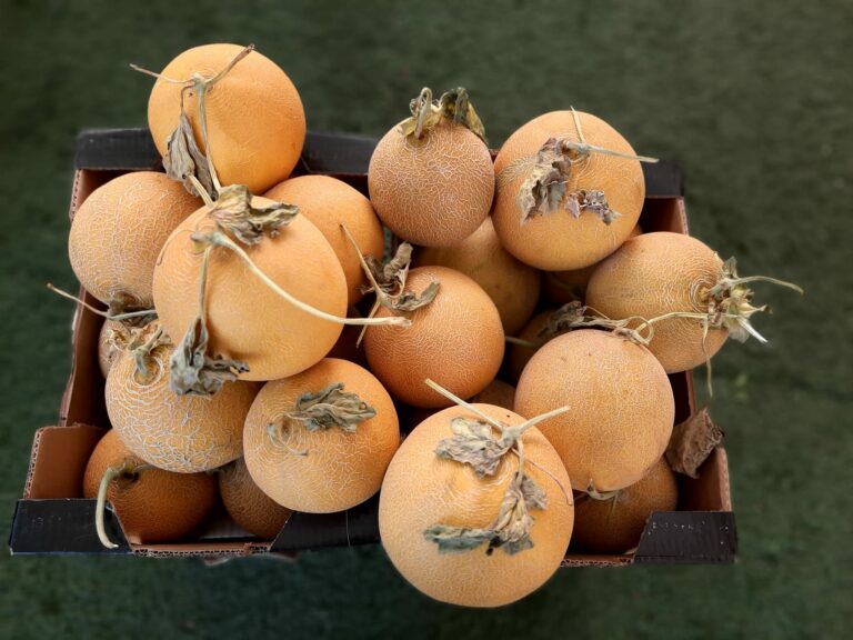 286459631 168585112310959 952753868374374883 n 768x576