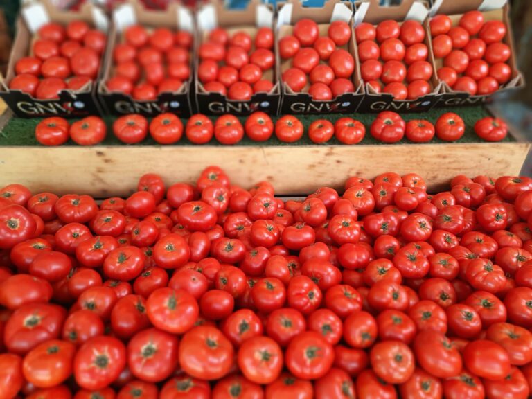 286872610 168584885644315 6578703979034983766 n 768x576