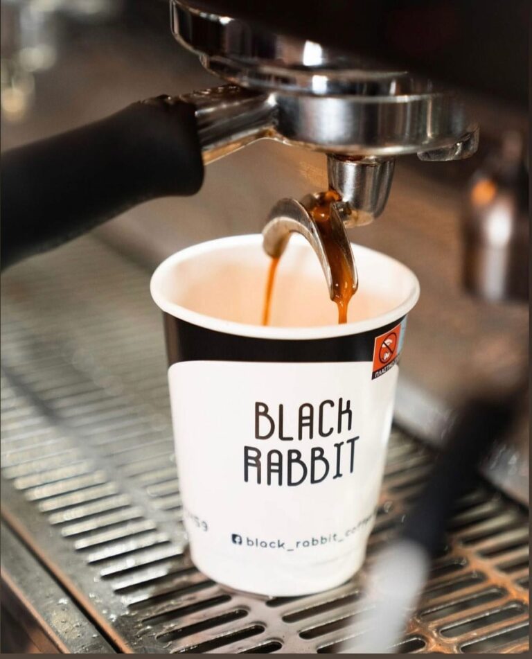 300427175 564500625343918 4055498227244799435 n 768x951