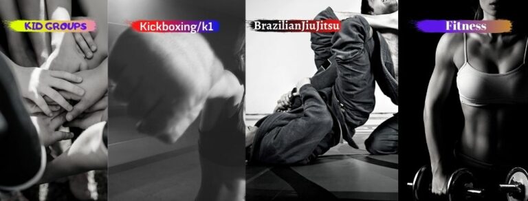 301972534 763255308440665 3022545166435482549 n 768x292