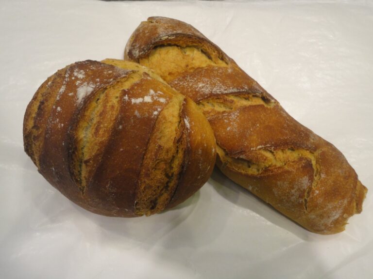 344252031 3526776244204406 6045293512402210742 n 768x576