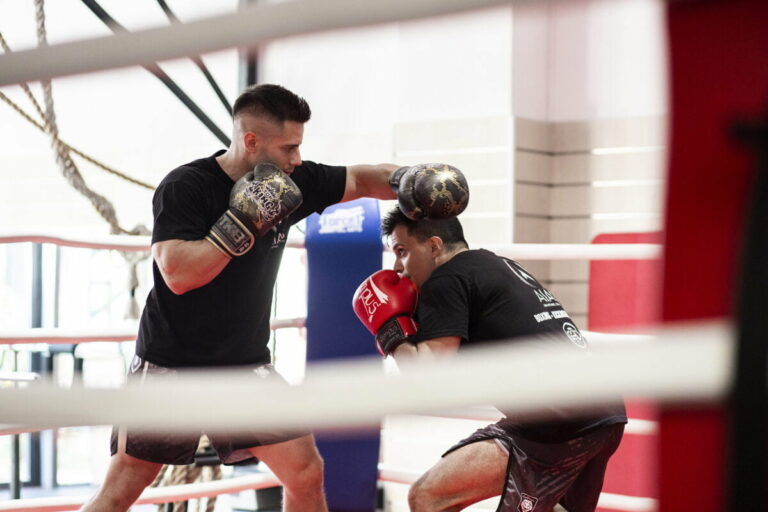 IMG 7079 1200x800 1 768x512