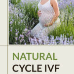 ivf natural cycle vista 600X1000 150x150