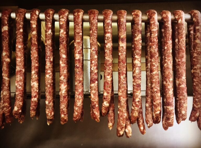 319308740 1133973213985188 128086188961911249 n 768x566