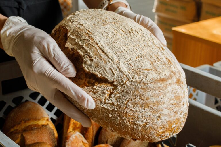 347580736 785781146883208 4027263242090595233 n 768x512