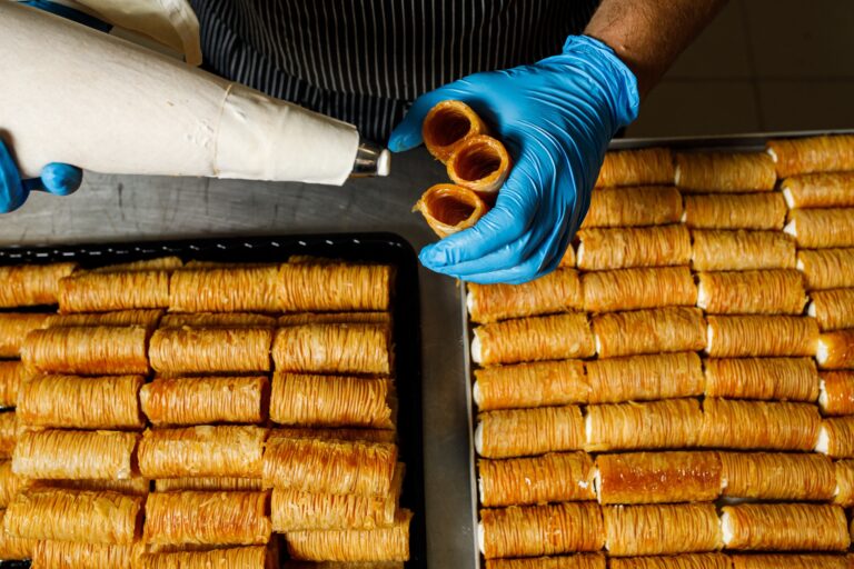 349743555 793096279485028 6203486197550346315 n 768x512