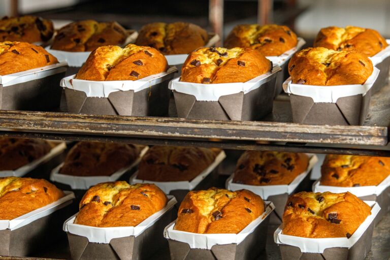 364127636 807384101389579 3459502099648999034 n 768x512