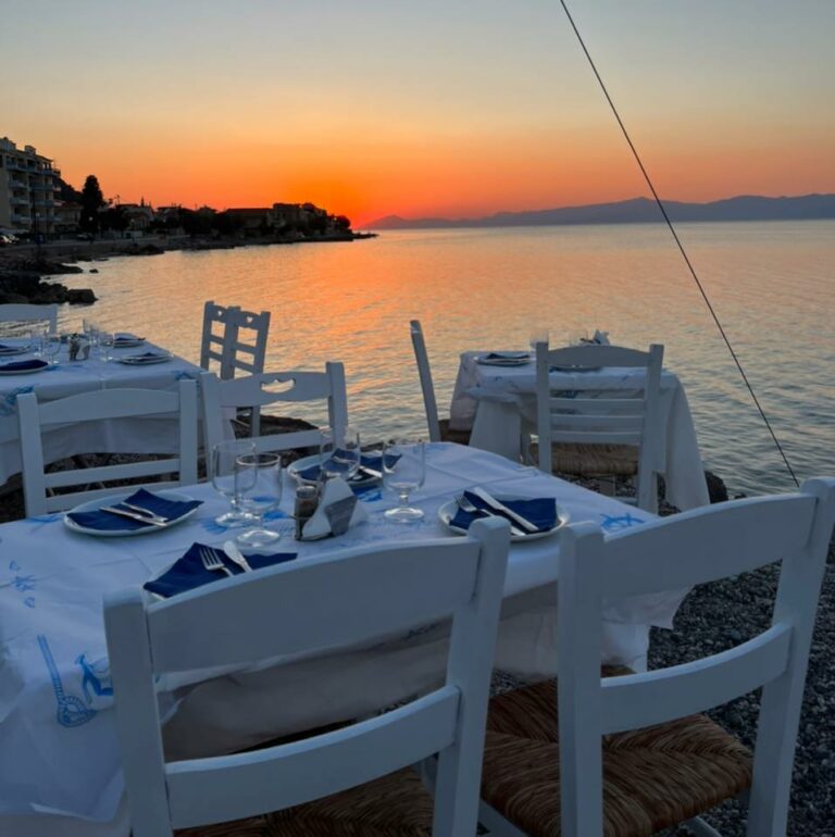 293458239 1351322882070941 5807004035440940336 n 768x770