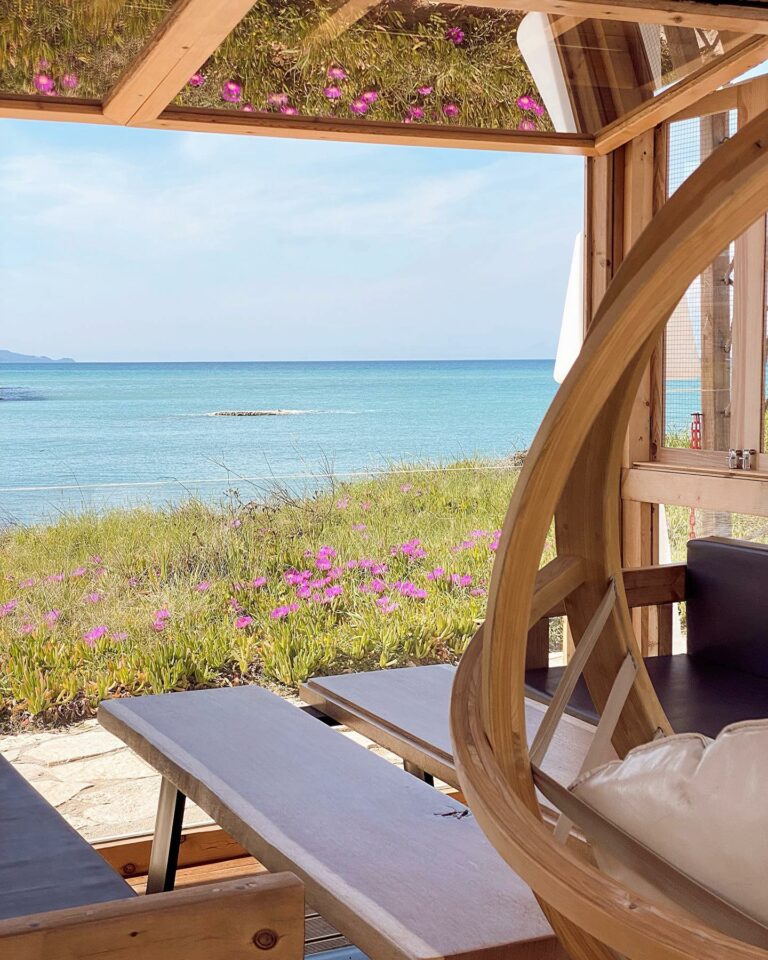 342985256 2461858680629064 5541050528941897937 n 768x960