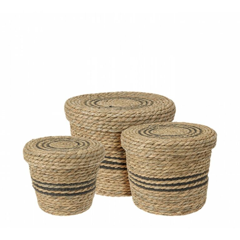 HE264 1100x1100 1 768x768