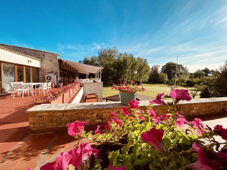 clubhouse 6219 768x576