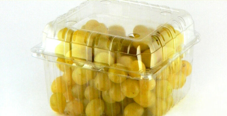 koupakia stafyl2 770x395 1 768x394