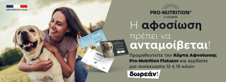 loyalty flatazor 768x280