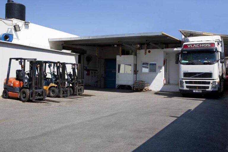 paralavi fortiga 768x513