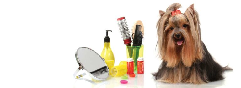 pet grooming 1 768x280