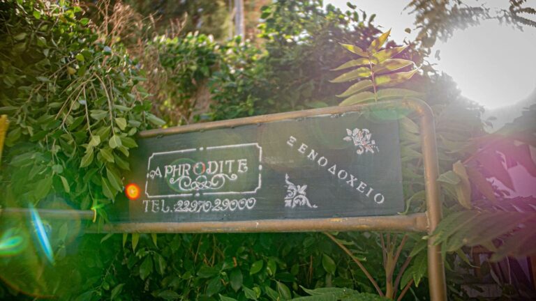 127531020 2745684662321187 932153599600604448 n 768x432