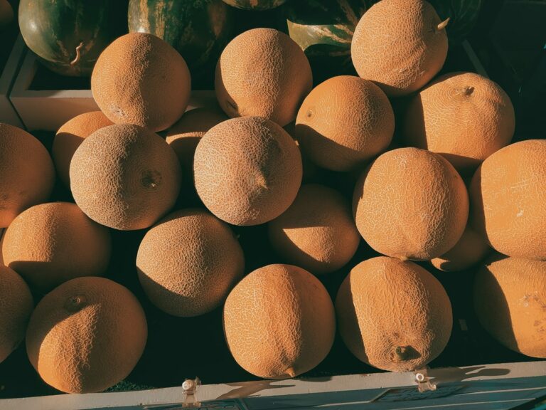 210312962 278824417372012 3003393241115125032 n 768x576