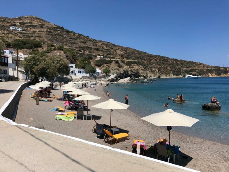 292301962 449197407210682 6420365890260482584 n 768x576