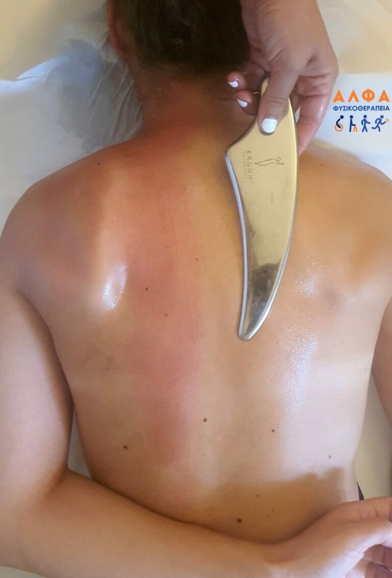 313423355 545043374293713 1668073413612163219 n 768x1132