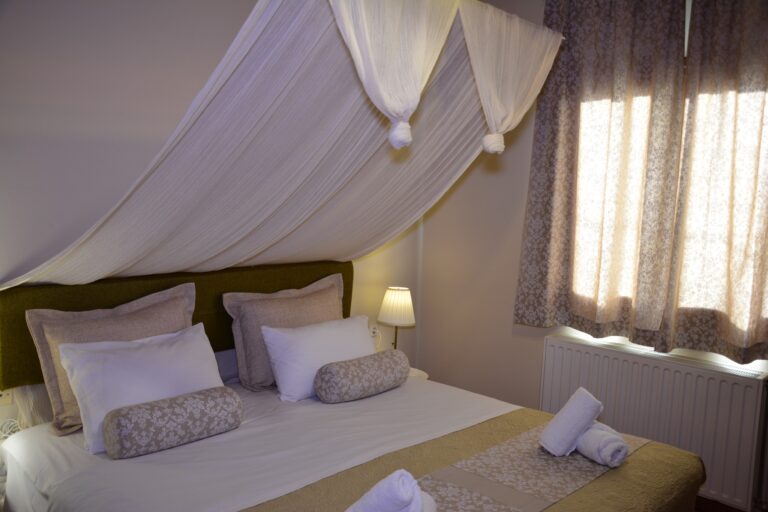 355643491 750454630415820 2095549518837385212 n 768x512