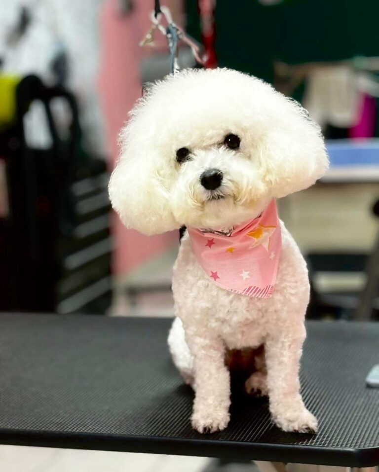 416066430 17988079016609393 1768705510267459818 n 768x957