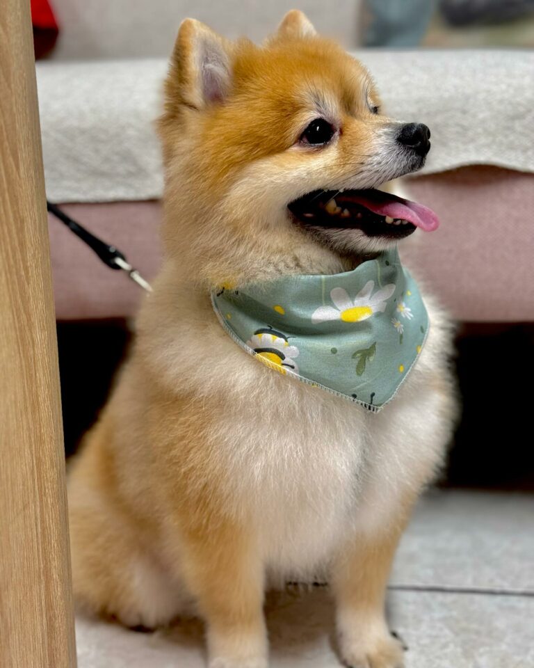 424610822 17991932198609393 988971430735890700 n 768x960