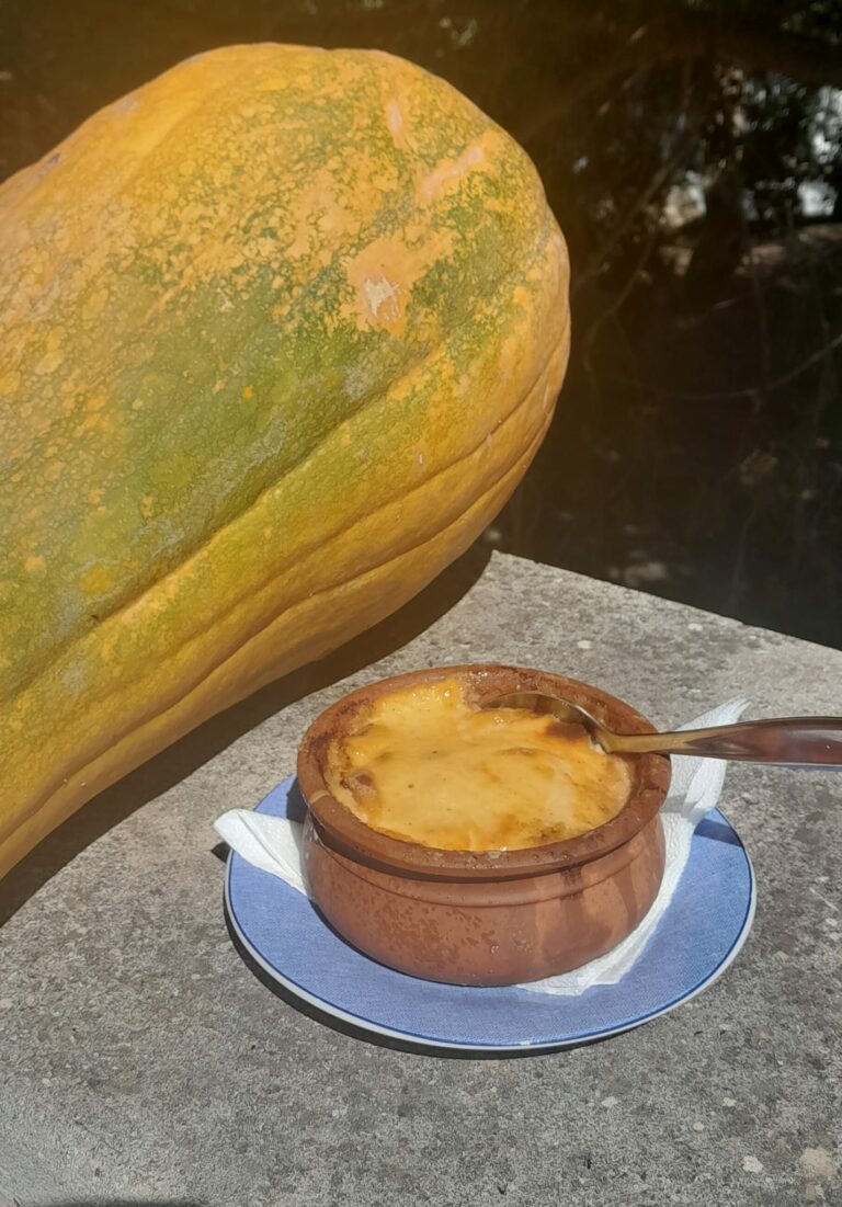 438845176 1027477062227765 3295200544043117334 n 768x1101