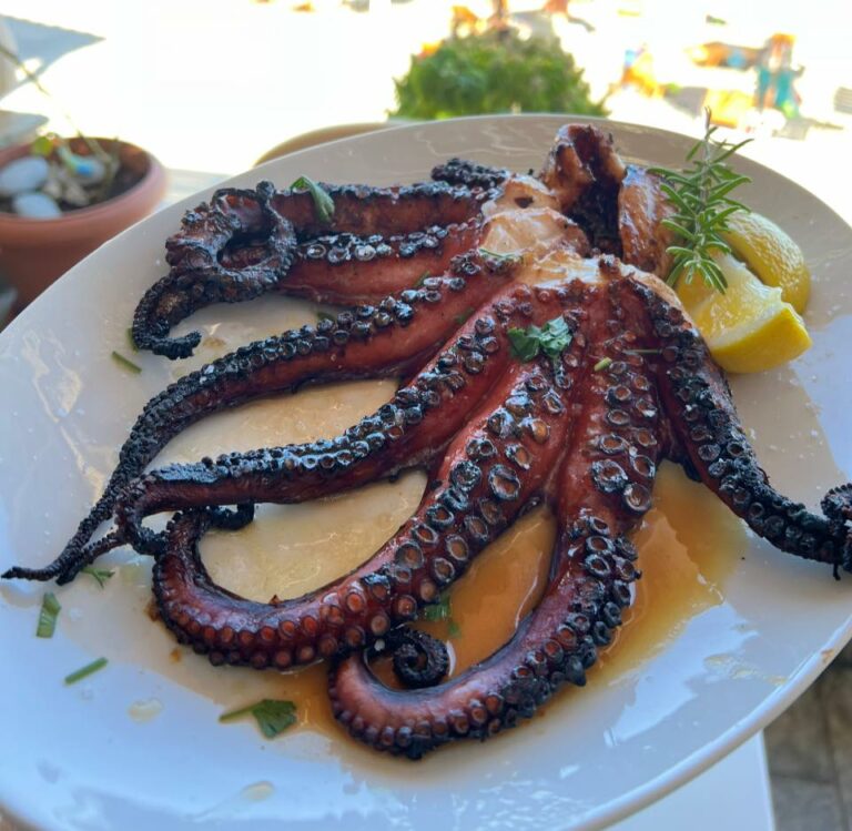 439211696 942043421259409 5132434888619053198 n 768x749