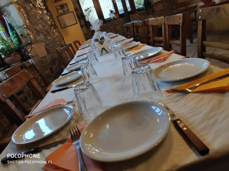 49205967 1953399844696092 3401884299119558656 n 768x576