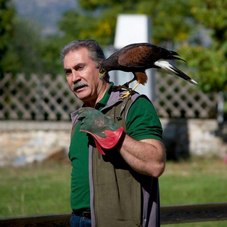 10882267 547712825331497 5275816671913135752 n 768x768