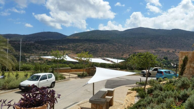 11934558 841859105929736 5778372311234811854 o 768x432