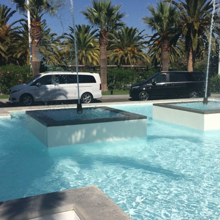 15027423 206160319829410 8481986456790457216 n 768x768