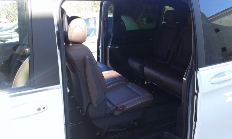 15094926 206091406502968 9064911869763083310 n 768x461