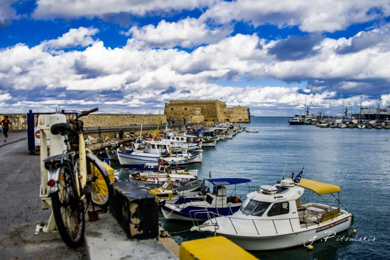 16251944 1903979149889327 1237763271577112034 o 768x512