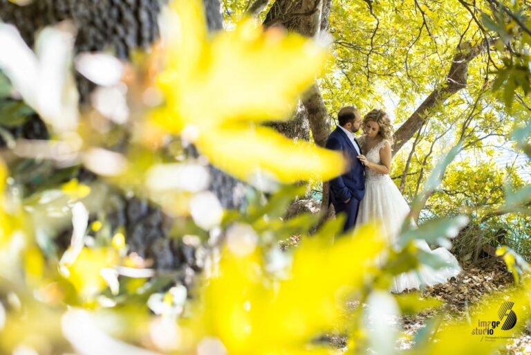 16836156 1916357281984847 1731594940191762282 o 768x513